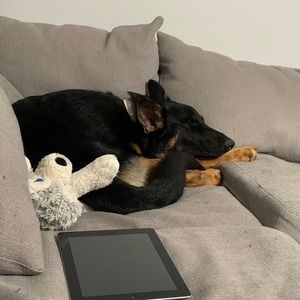 Meet your Posher, Christine